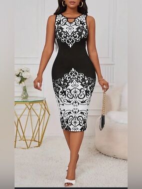 Woman’s Black & White Sleeveless Dress